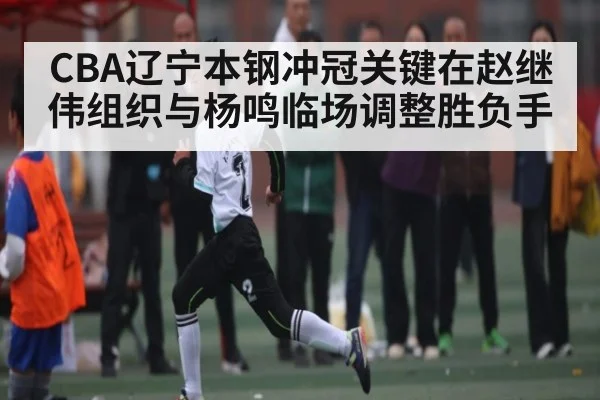 CBA辽宁本钢冲冠关键在赵继伟组织与杨鸣临场调整胜负手